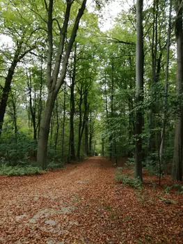 Gaasbeek + Castle of Gaasbeek (Lennik, Belgium)